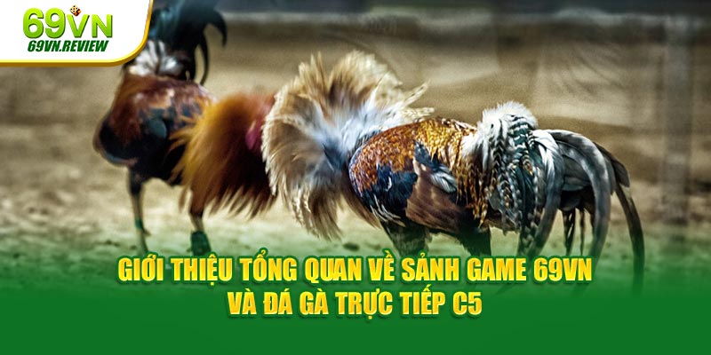 Giới thiệu tổng quan về sảnh game 69VN và đá gà trực tiếp C5